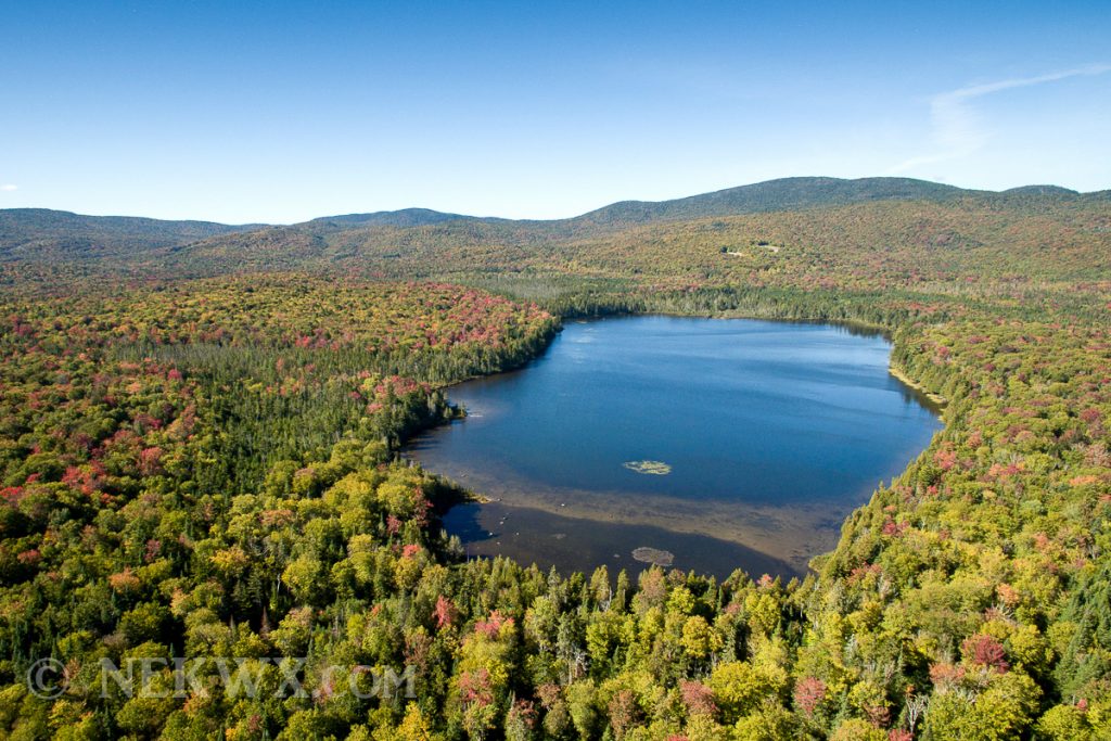 nek vt fall foliage